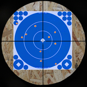 Target views through scope